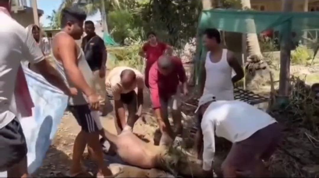असम बाढ़ राहत