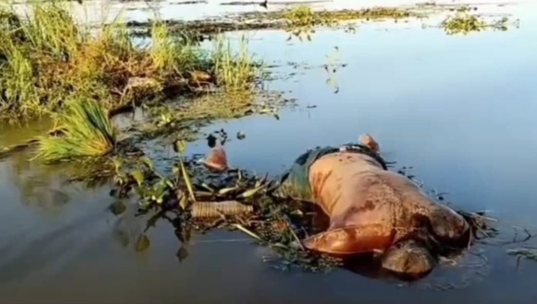 असम बाढ़ राहत